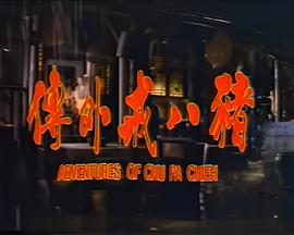 电视剧狂飙支队